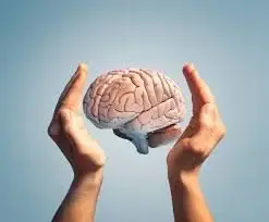 Hands holding a human brain model against blue background, symbolising mental health and cognitive care